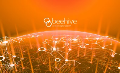 Beehive - connecting for growth